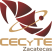 Espacio virtual de CECyTEZ Calera